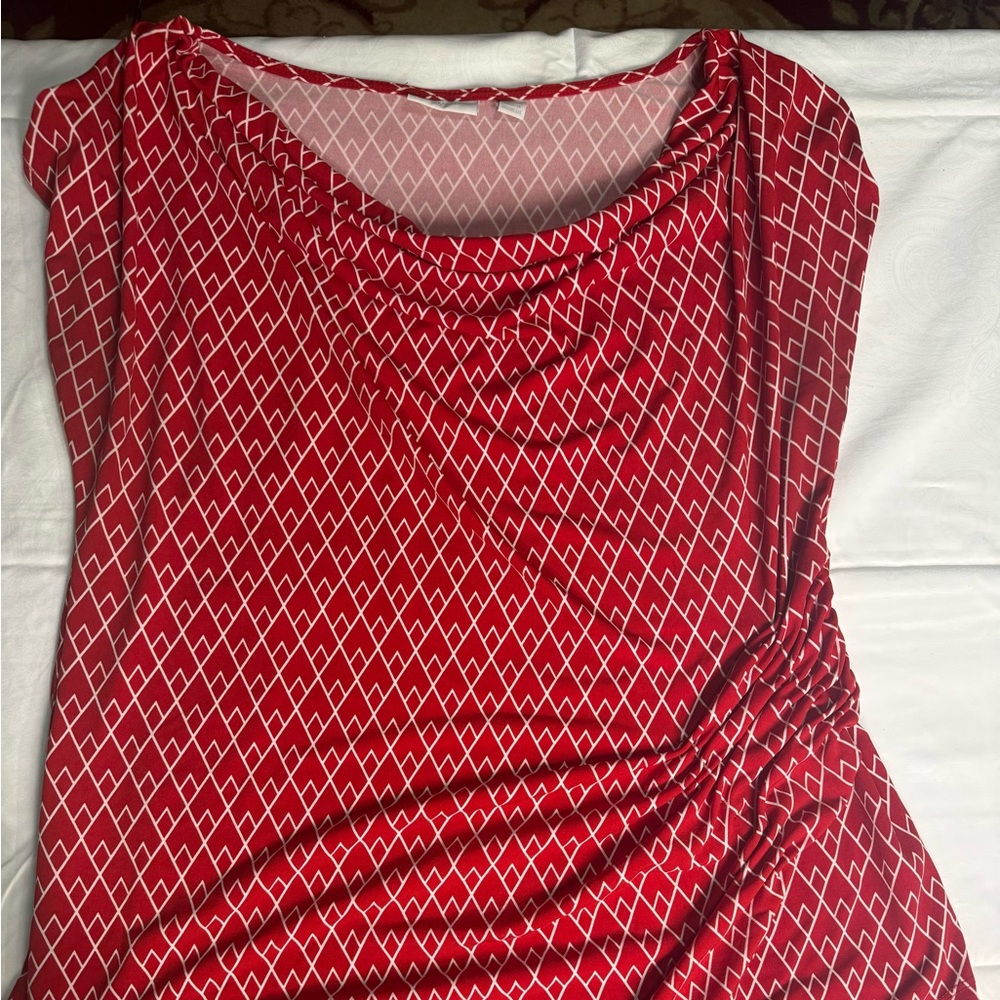 Red Blouse